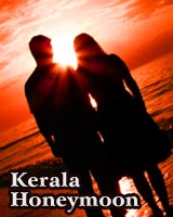 honeymoon couples kerala